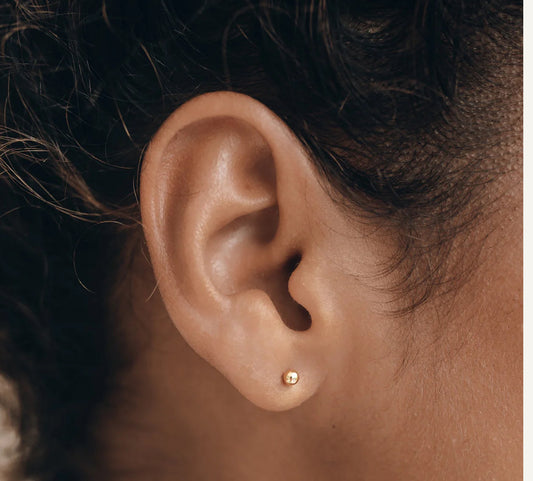 Gold plated small stud earrings